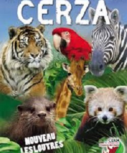 cerza