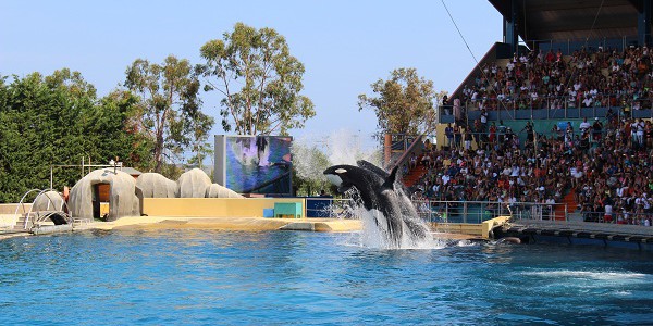 marineland9