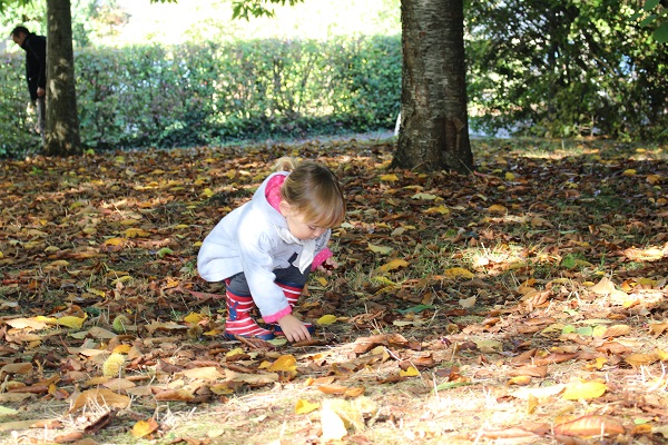 Maman Nougatine Associer des feuilles et fruits d'automne à leur