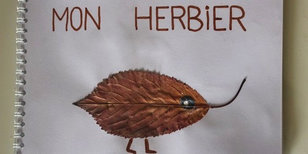 herbier5