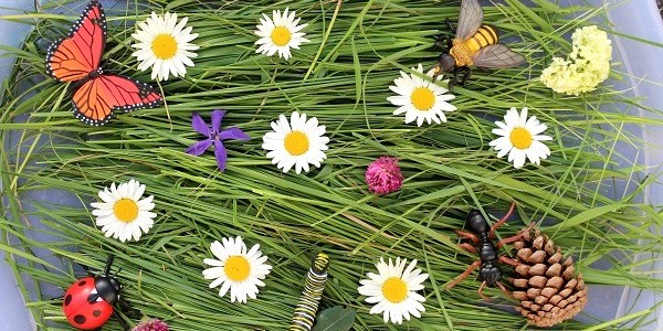 Maman Nougatine Réaliser des bougies en feuilles de cire d'abeille - Maman  Nougatine