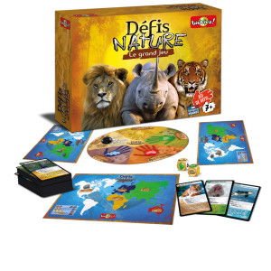 grand-jeu-defis-cartes