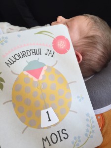 Mon bébé mois par mois - De la naissance à 1 an