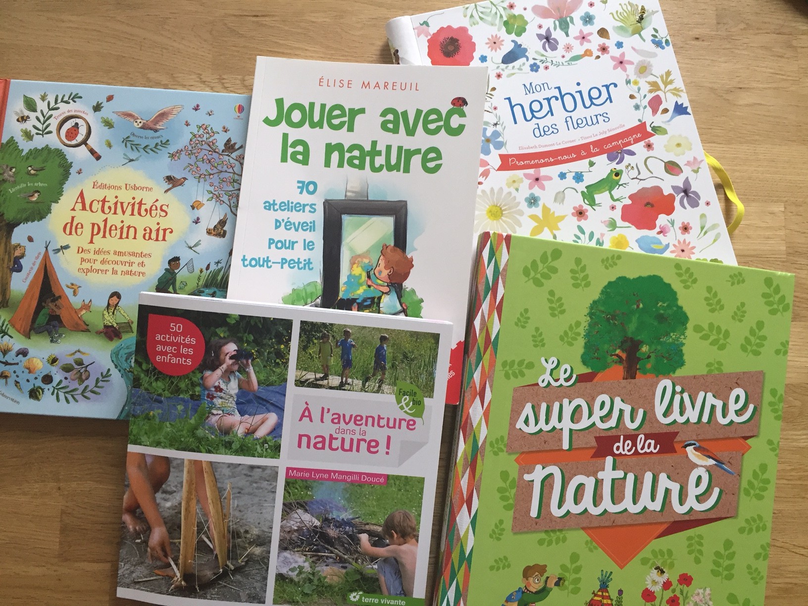 Jouer avec la nature - 70 activités d'éveil pour les tout petits - Livre  Petite enfance de Elise Mareuil - Dunod