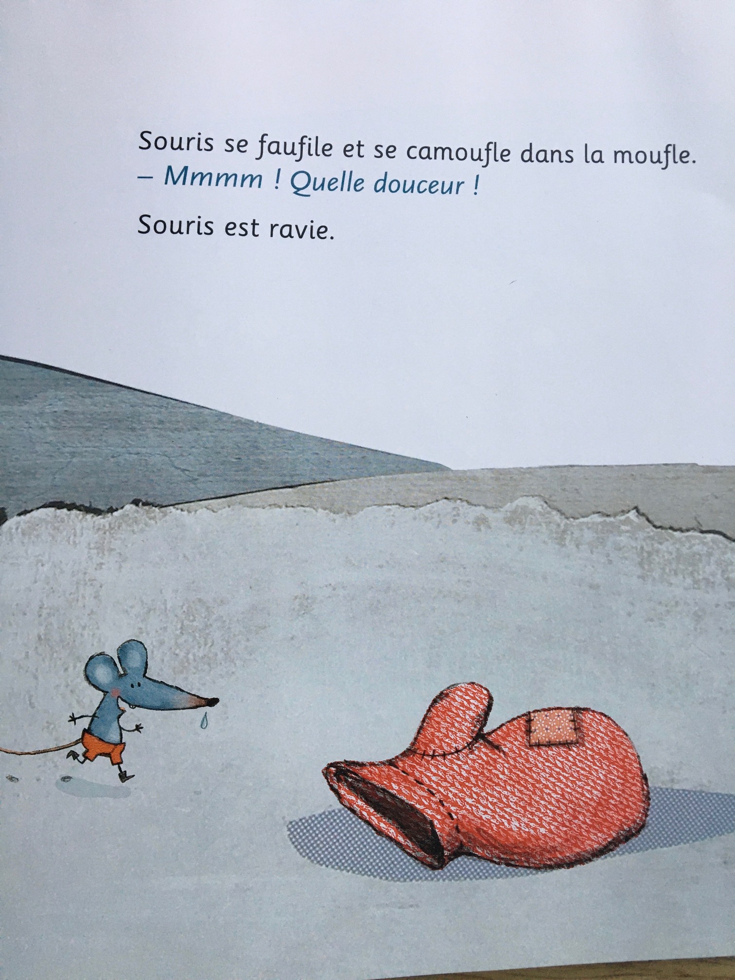 La moufle de Florence Desnouveaux et Cécile Hudrisier. (ed