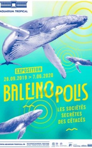 affiche_baleinopolis_2019