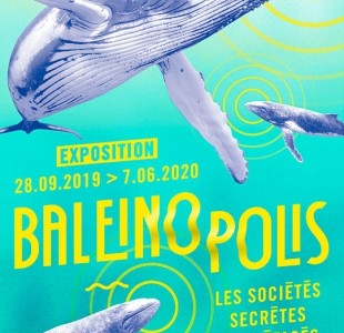 affiche_baleinopolis_2019