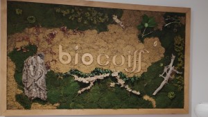Biocoiffsalon