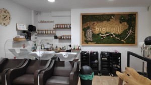 Biocoiffsalon1