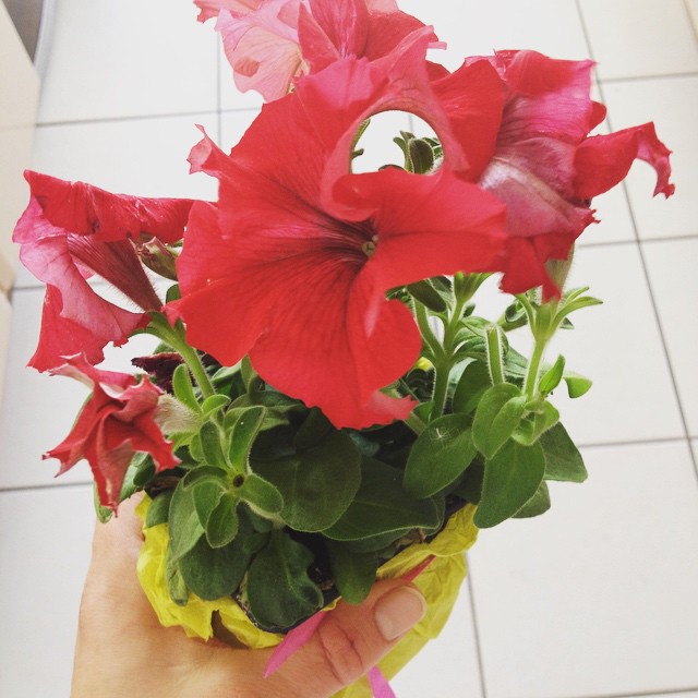 1er cadeau de fête des mères ❤️ ptitebichette fetedesmeres