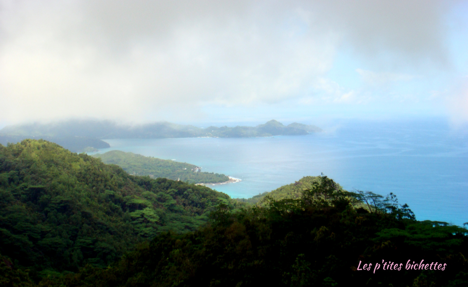 DSC04055-001