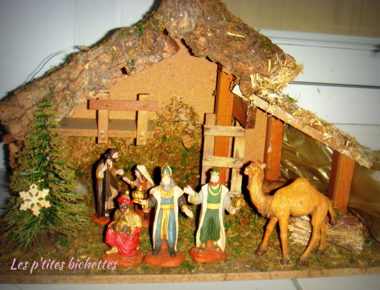 DSC09767