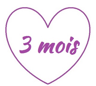 3 mois