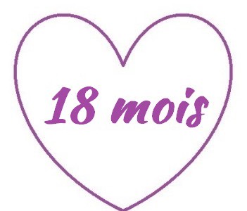 18 mois